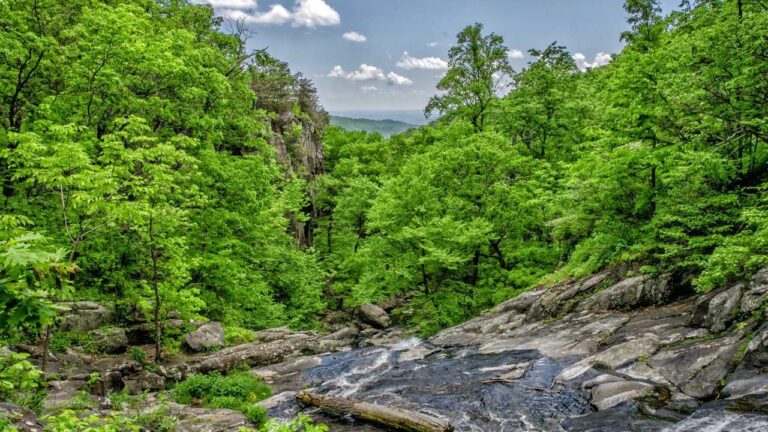 What Features Are Available Inside 99Exch Account Dashboard?